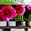 Pink flowers and bamboo collage